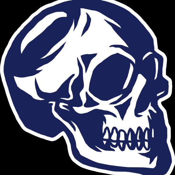 Elements Skulls logo template 139 Thumbnail