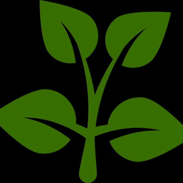 15 Leaves Thumbnail