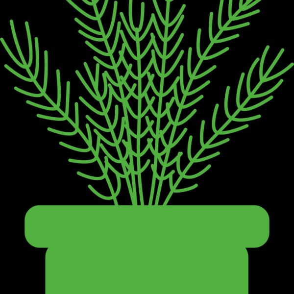 Herb Thumbnail