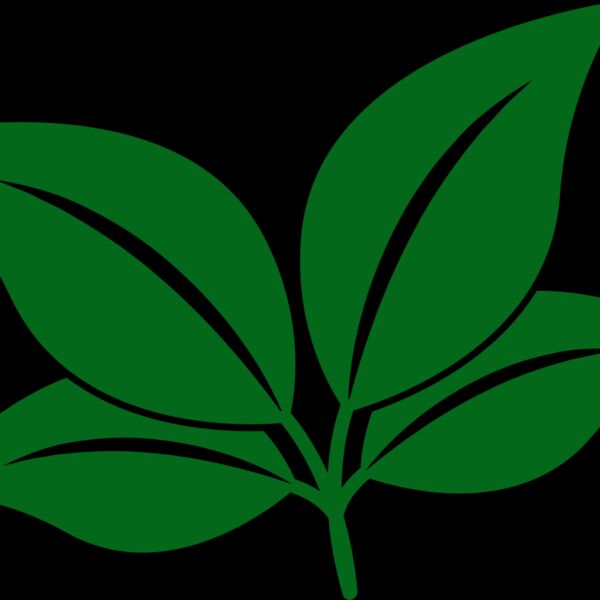 Leaves Thumbnail