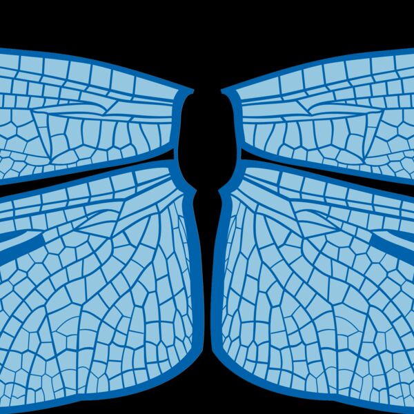 ES3wing14clr Thumbnail