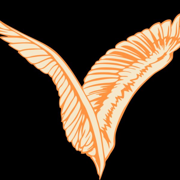 ESwings025clr Thumbnail