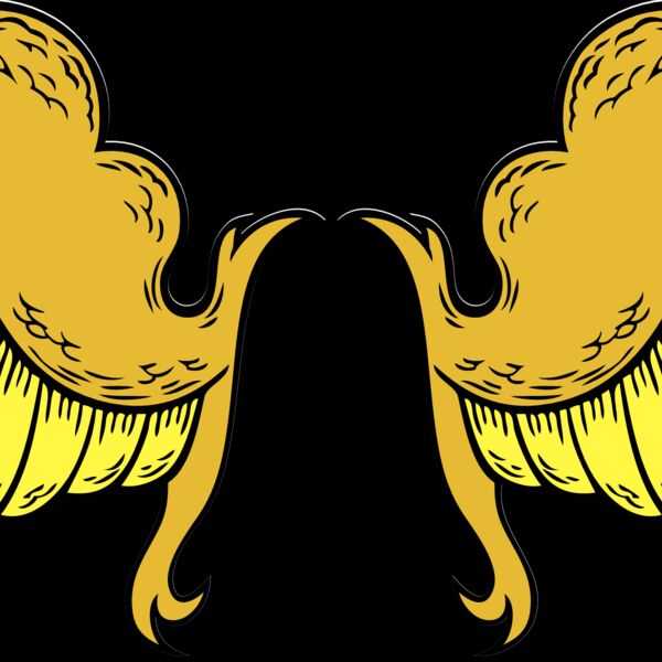 ES2wings006clr Thumbnail