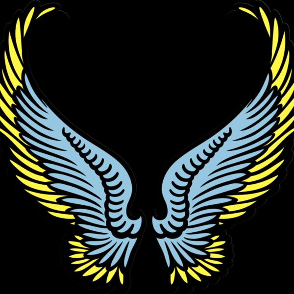 ES3wing07clr Thumbnail