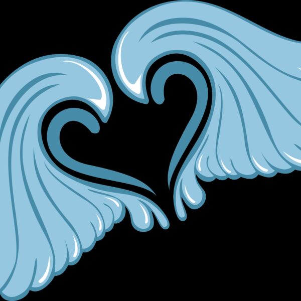 ES3wing27clr Thumbnail