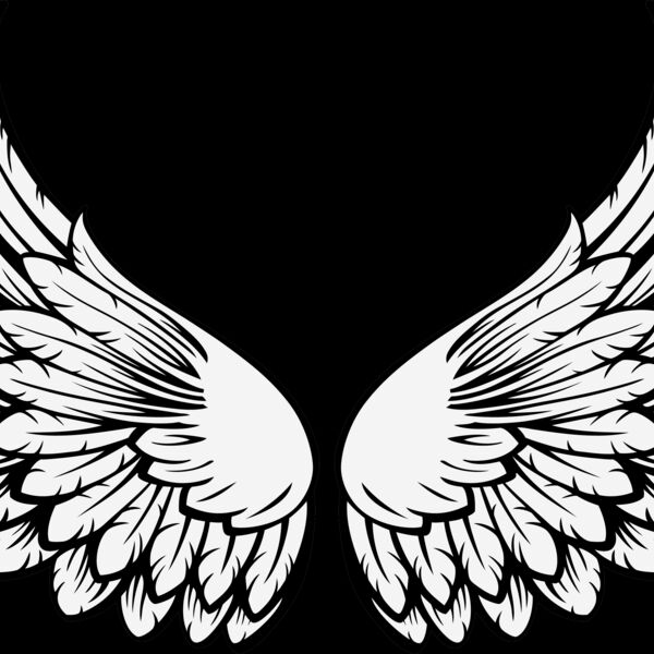 ES3wing15clr Thumbnail