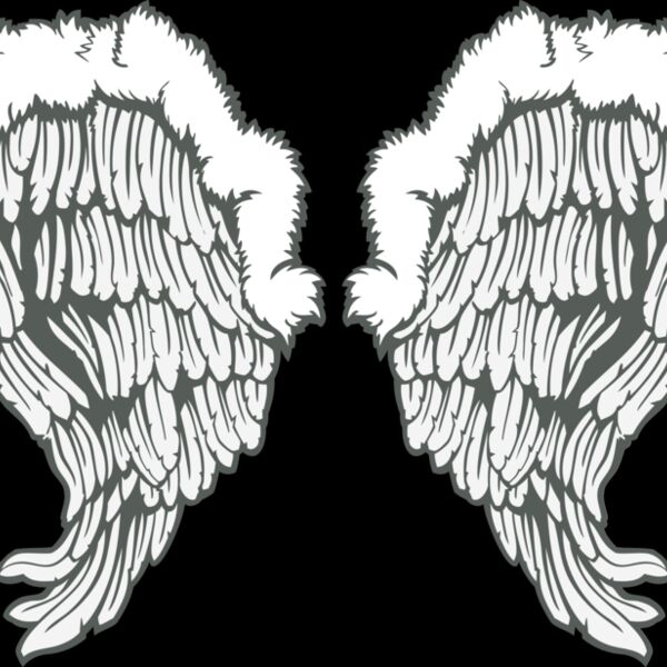 ES3wing26clr Thumbnail