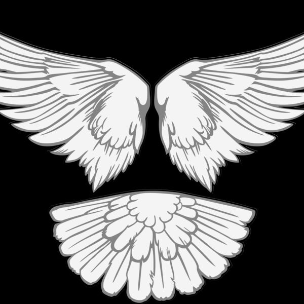 ESwings015clr Thumbnail