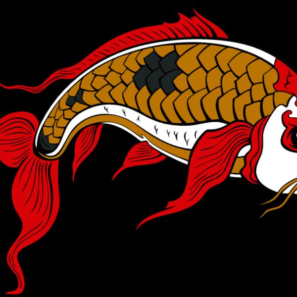 es2asiankoi008clr Thumbnail