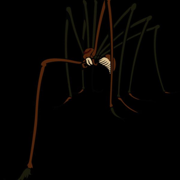 es3spider02clr Thumbnail