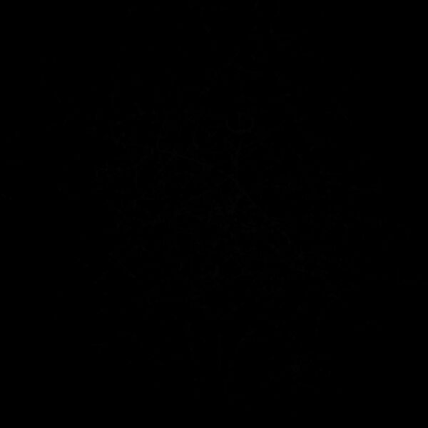 es3distress004 Thumbnail