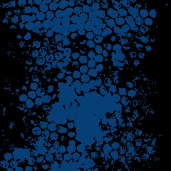 basketballsplat Thumbnail