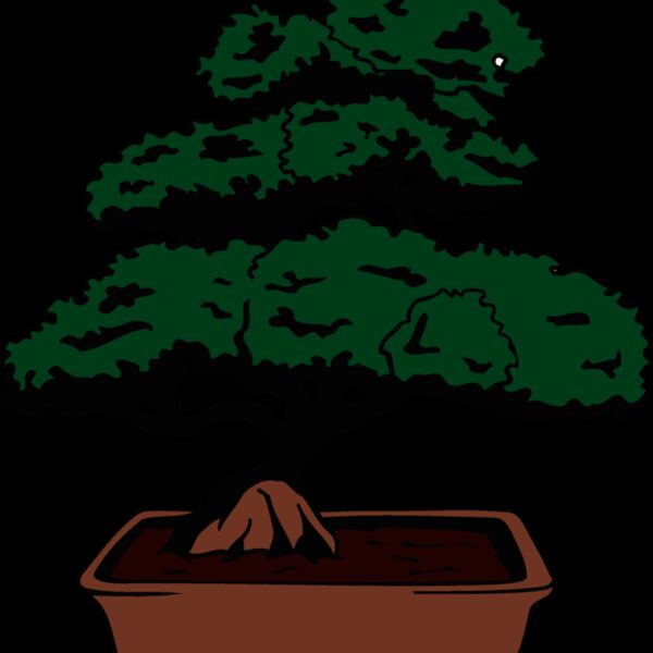 bonsai1 Thumbnail