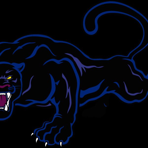 espanther001clr Thumbnail