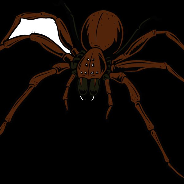 esspider006clr Thumbnail