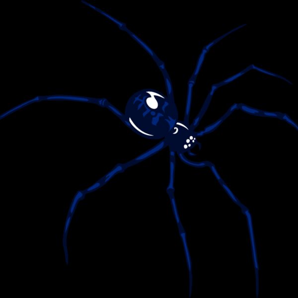 esspider007clr Thumbnail