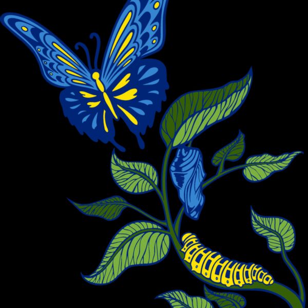 es3butterfly05clr Thumbnail