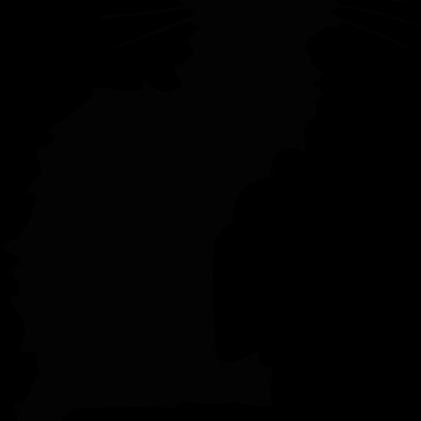 blackcat 2 Thumbnail