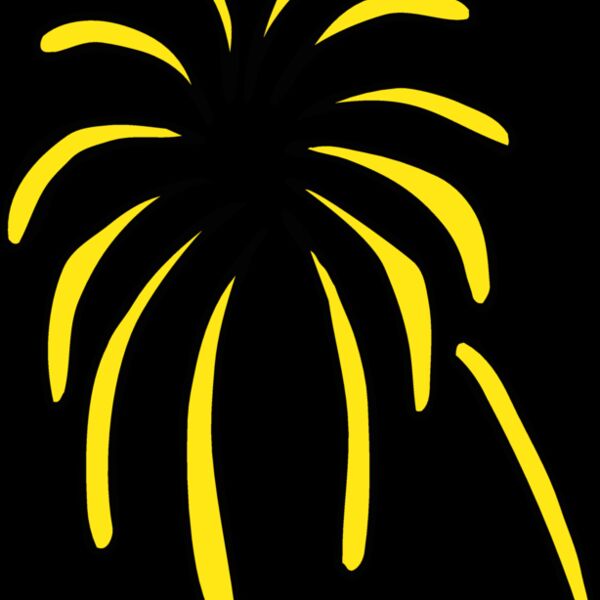 fireworks05 Thumbnail