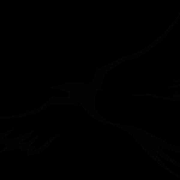 birdtribal Thumbnail