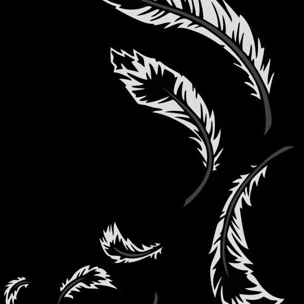 feathers06 Thumbnail