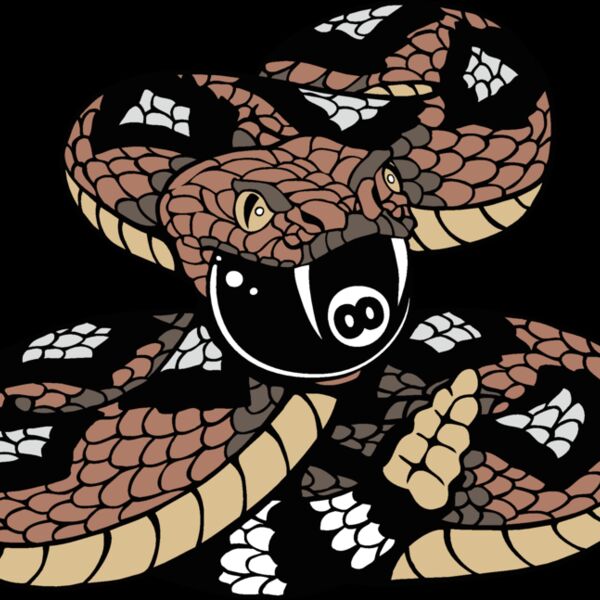 rattlesnakeeightball Thumbnail