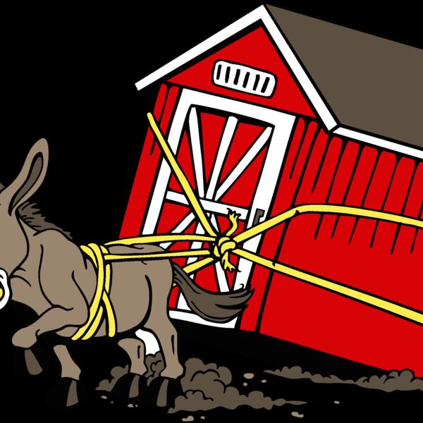 mulebarnpull Thumbnail