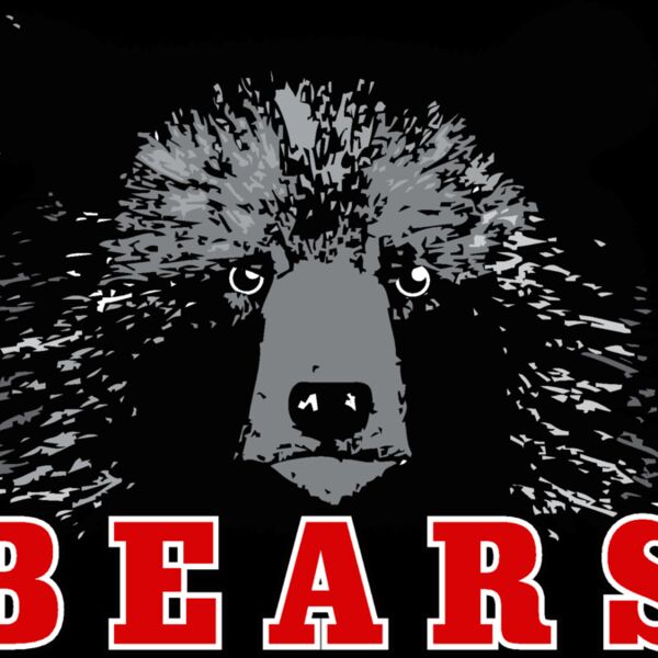 bearslogo1 Thumbnail