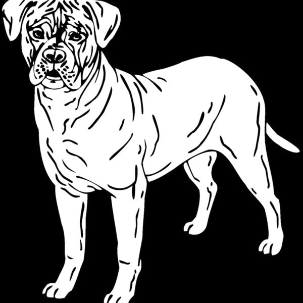 bullmastiff 01 Thumbnail