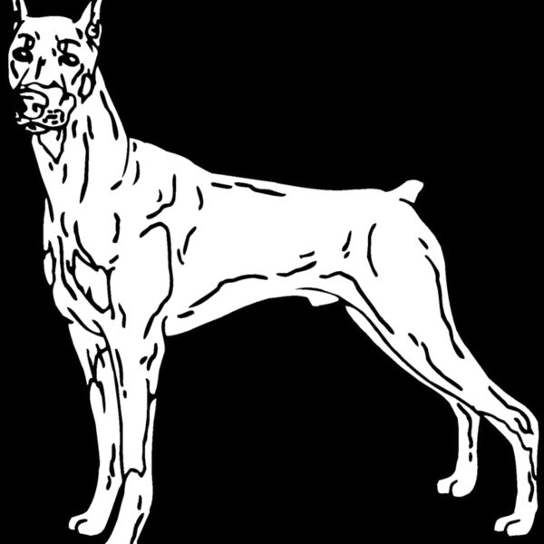 doberman03 Thumbnail