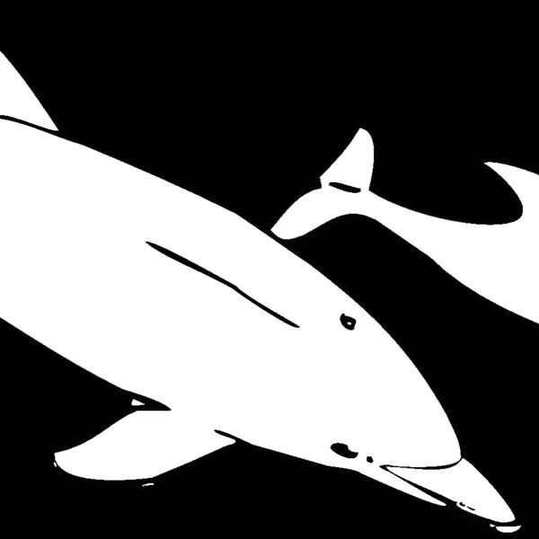 bottlenosedolphin Thumbnail