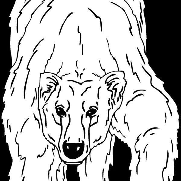 polar bear 1 Thumbnail