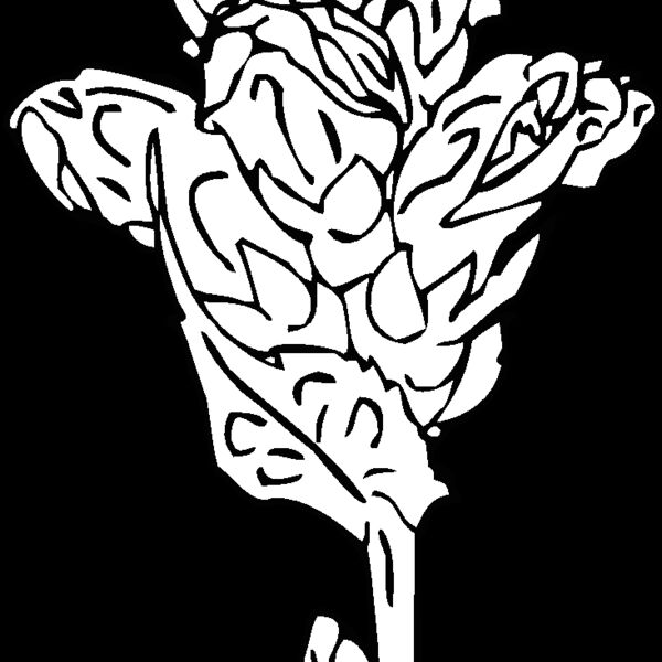 turtlehead Thumbnail