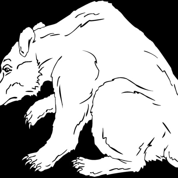 grizzlybear Thumbnail