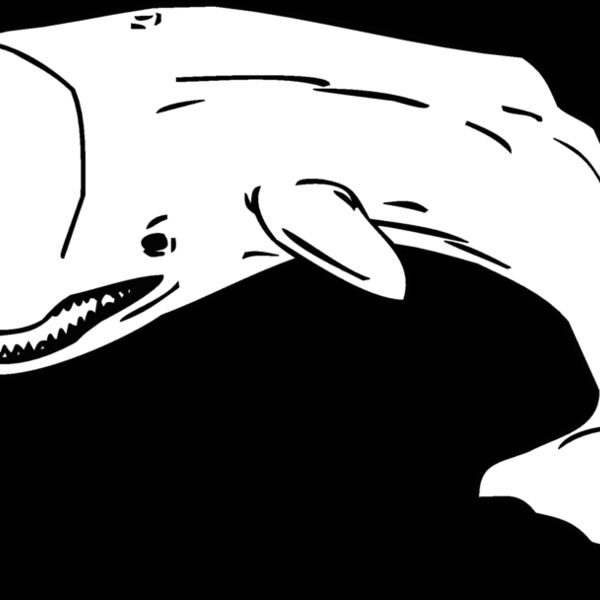 whale Thumbnail