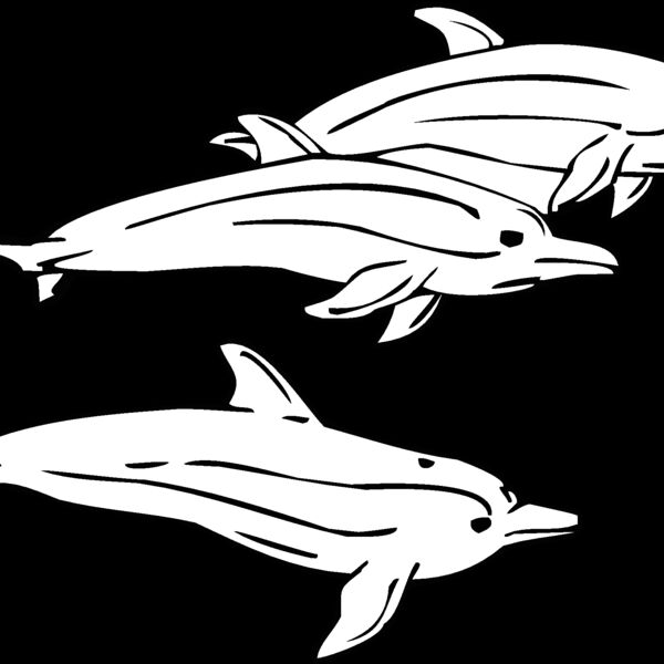 dolphins01 Thumbnail