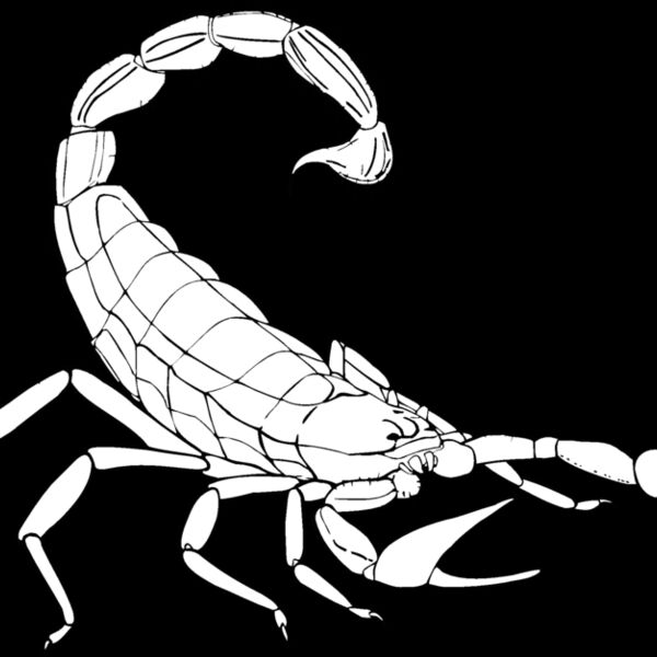 scorpion Thumbnail