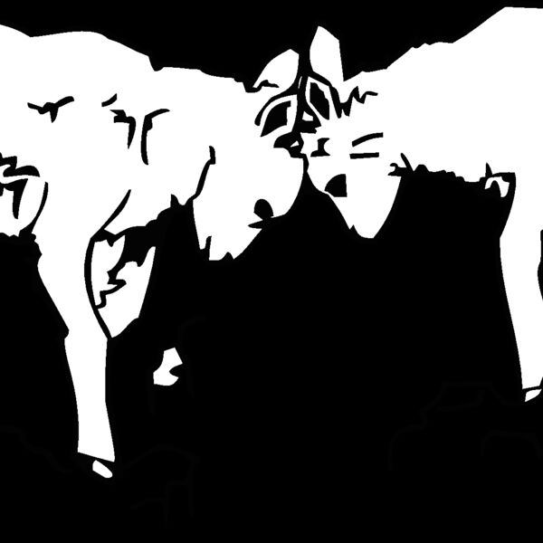 mountaingoatkids Thumbnail