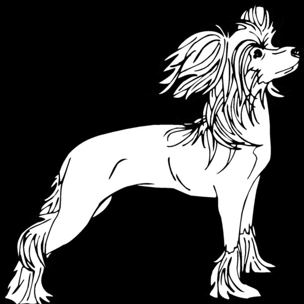 chinese crested dog Thumbnail