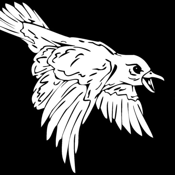 birdcatchingbug Thumbnail