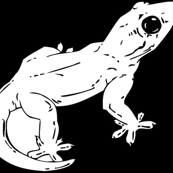 gecko Thumbnail