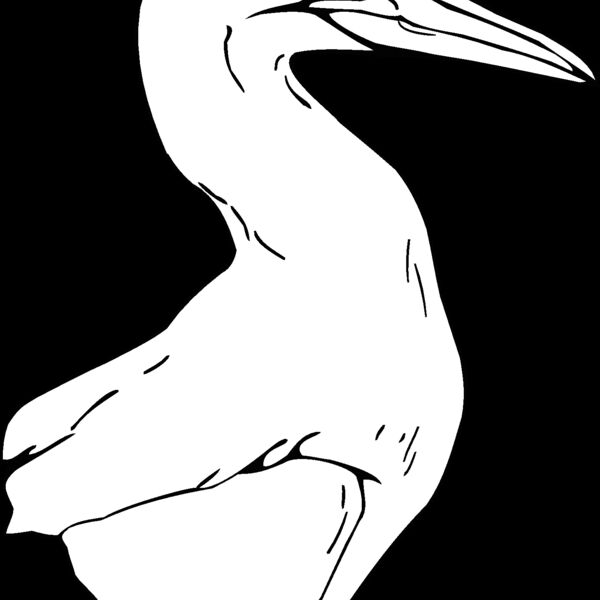northern crane Thumbnail