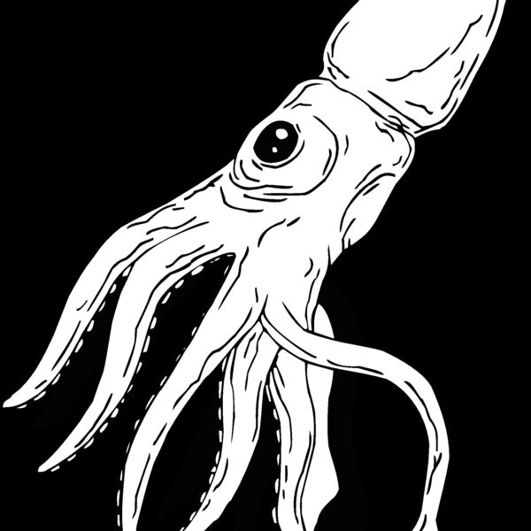 squid Thumbnail