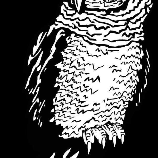 owl Thumbnail