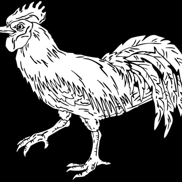 rooster Thumbnail