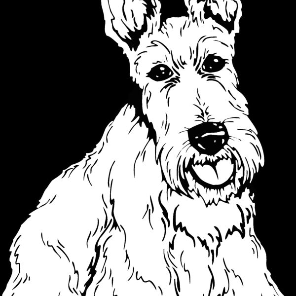 scottish terrier Thumbnail