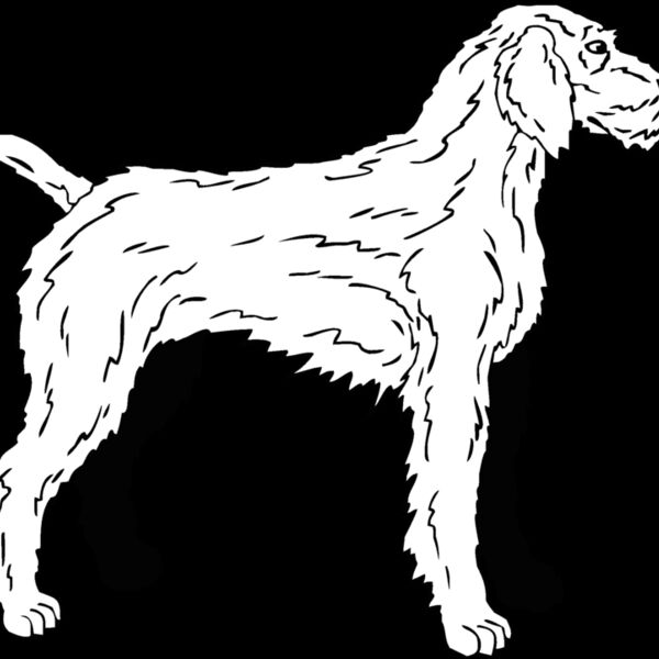 german weimaraner Thumbnail