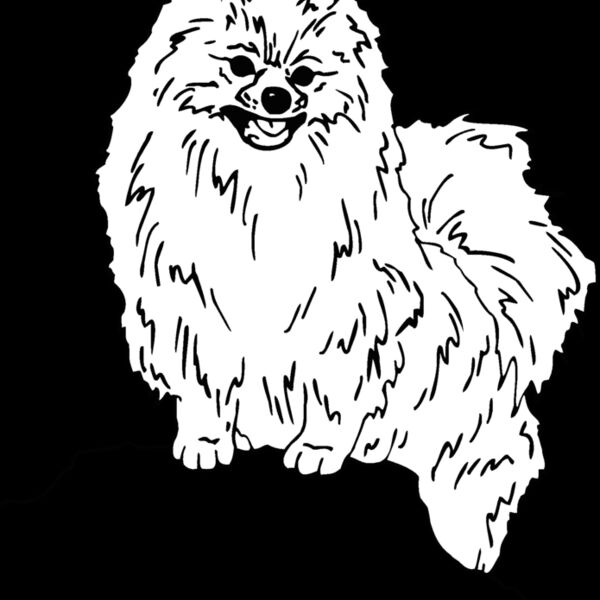 pomeranian Thumbnail