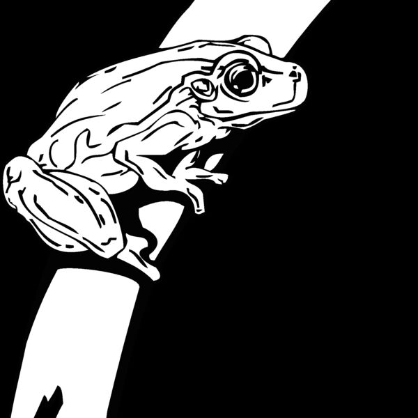 tree frog Thumbnail