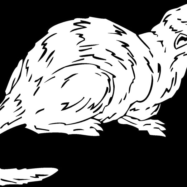 weasel Thumbnail